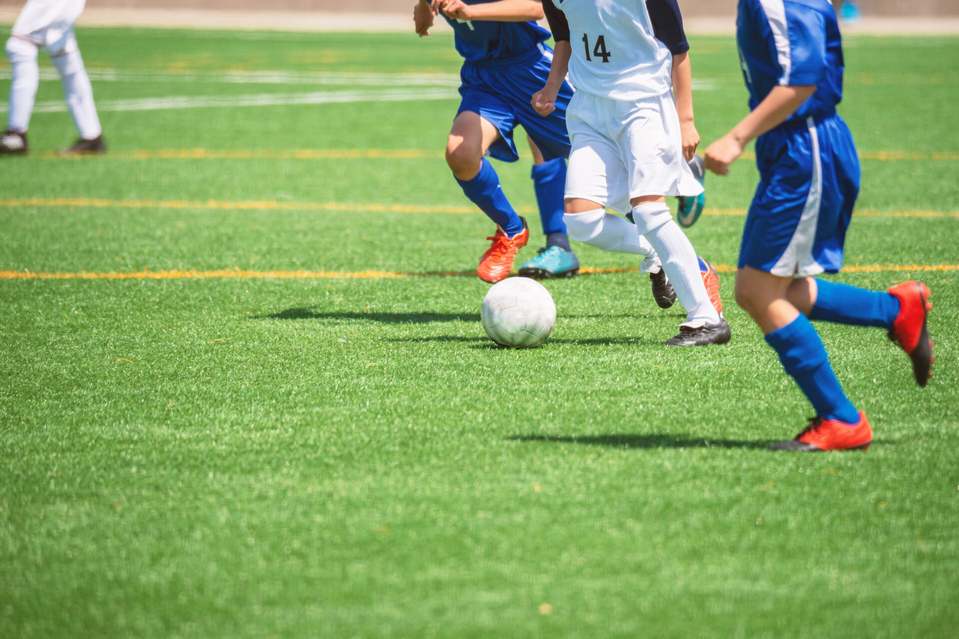AdobeStock_212804949